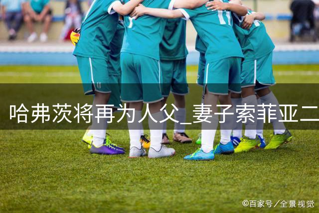 哈弗茨将再为人父 妻子索菲亚二胎喜讯官宣